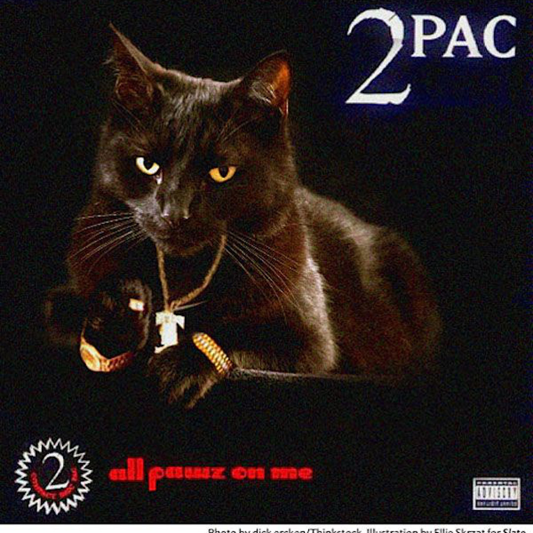 廃盤DJ FATAL presents ２ＰＡＣthe lost tape The Lost Tapes: Shakur, Tupac: Amazon.ca: Music