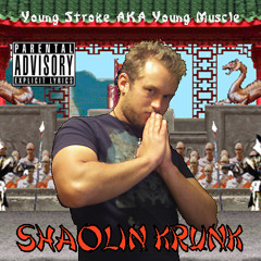 Young Stroke aka Young Muscle - This Is Nerdcore