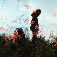 Xo (Beyonce Acoustic Cover with Rubah Electronic