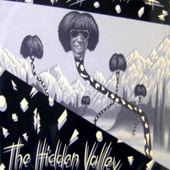 The Hidden Valley