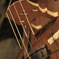 Contrabass Closed Posisi 1 Jazz Pizzicato