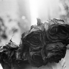 Last Flowers (Radiohead cover)