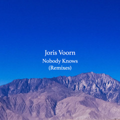 Nobody Knows Remixes