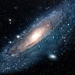 Organic Dreamers _ Morphologic Universe (preview)