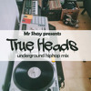 True Heads - by Mr Shay (underground rap mix)