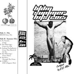 BFDM MIX : The Pilotwings & Tiff