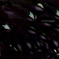Felipe Valenzuela & Dani Casarano - Instinct (Cadenza103) [teaser]