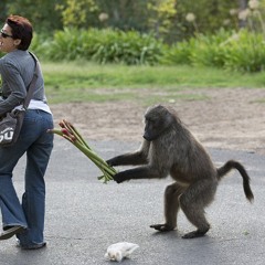 DWNS (Epsilon, unknown and SonJay) - WMWWW