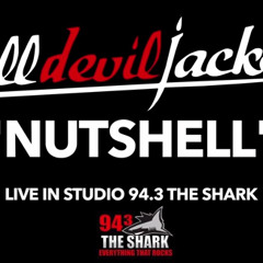 "Nutshell" (Alice In Chains cover) Live from 94.3 The Shark Radio Station (5/12/2015)