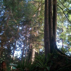Our Sacred Acres