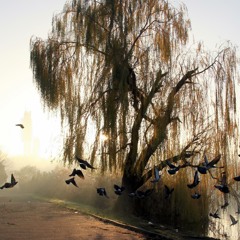 Gridline - Weeping Willows (instrumental)