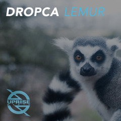 Dropca - Lemur (Original Mix)