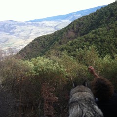 "Hometown" Ft. Jamison Peil (Prod. Red Hook Noodles)