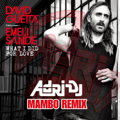 David Guetta Feat Emeli Sande - What I Did For Love (Adri Dj Mambo Remix)