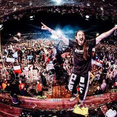 Steve Aoki Live At Tomorrowland Brasil 2015