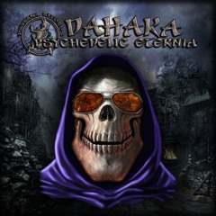 3.Dahaka - Save The Tigers