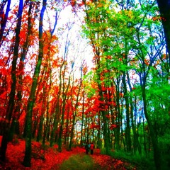 Acid Ish