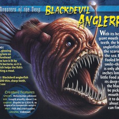 SOUND DESIGN ANGLER FISH