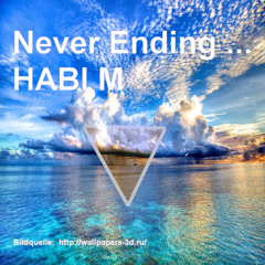 HABI M -  Never Ending ...