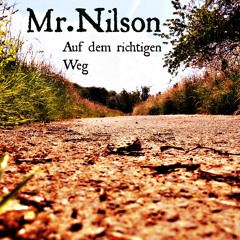 Mr.Nilson - Auf dem richtigen Weg