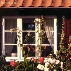 Sand in den Schuhen und Marmelade mit Butter