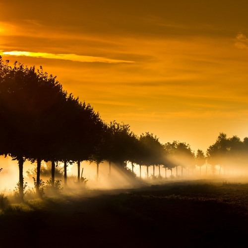 2 Senses - In The Sun