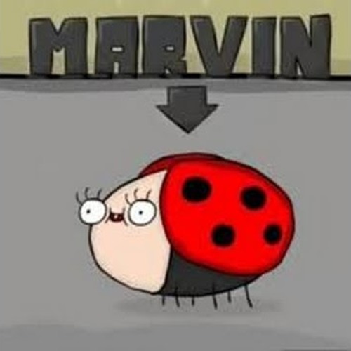 Dashed- Marvin