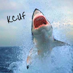 Shark Attack (Original Mix)