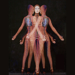 Ford Proco -Holograma