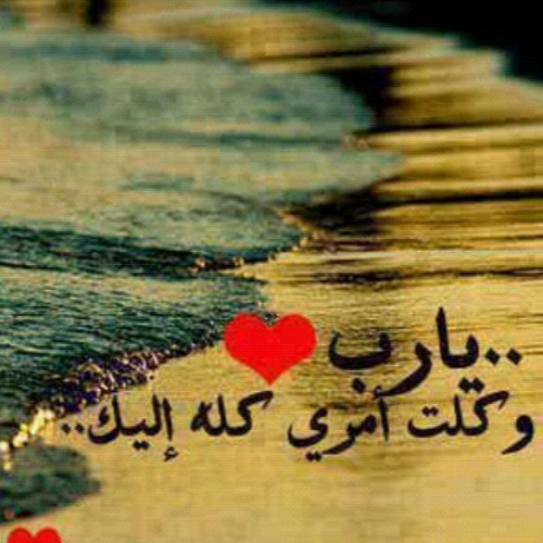 حسام كامل .. يارب اشكيلك بحالي