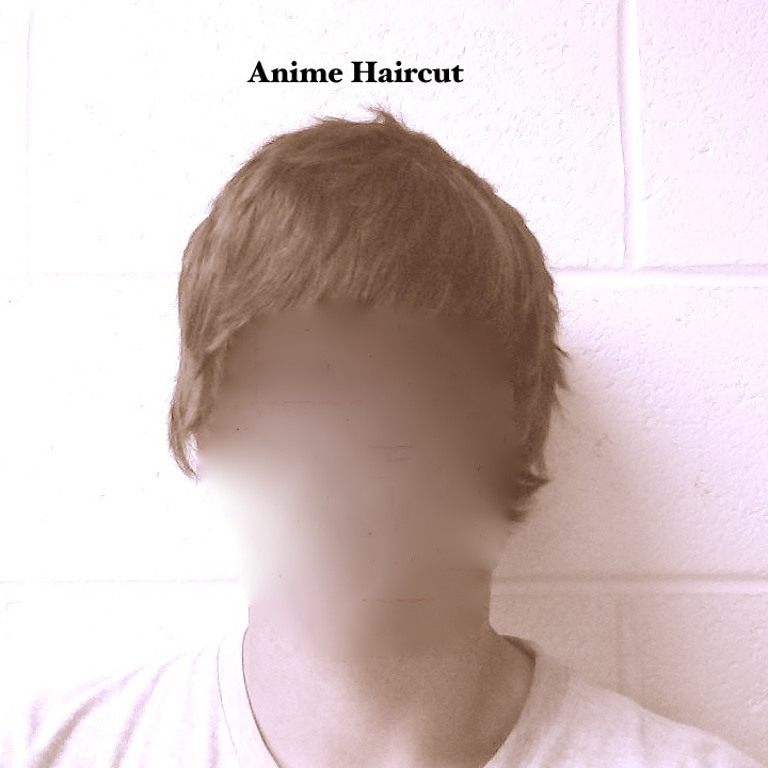 Anime Haircut episode artwork
