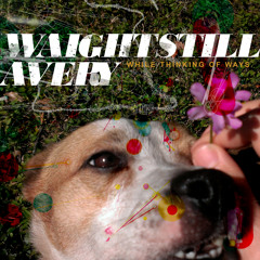 Out West - Waightstill Avery