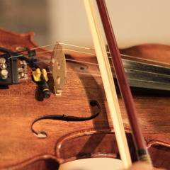 Biola Melayu song 2 Dry