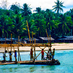 Waltron- Incredible Indonesia