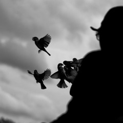 Gare Aux Bestiaux - Pierre Paul Danzin - Les moineaux d'Egare