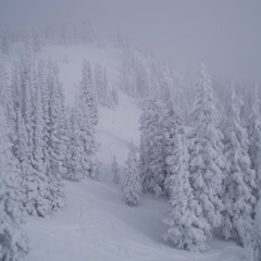 Blizzard