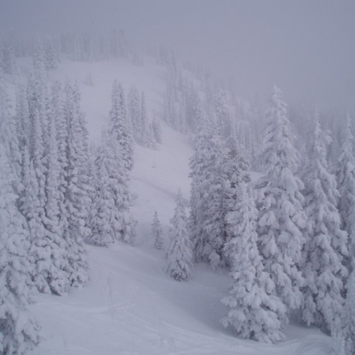 Blizzard