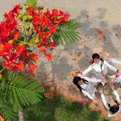 Nhạc xưa