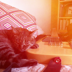 Tuve Que Correr - Antonio Vega. Cover Davo García