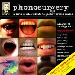 Katrine Faber - Nest Of Voice  (Track 01 from Various Artists' Compilation "Vocology #1")