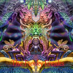 Funky Freaks Going Psychadelic