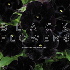 BLACK FLOWERS