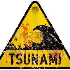 The Hunterz - Come uno Tsunami