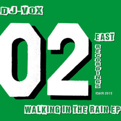 Raining On Me (Pablo del Monte Remix)