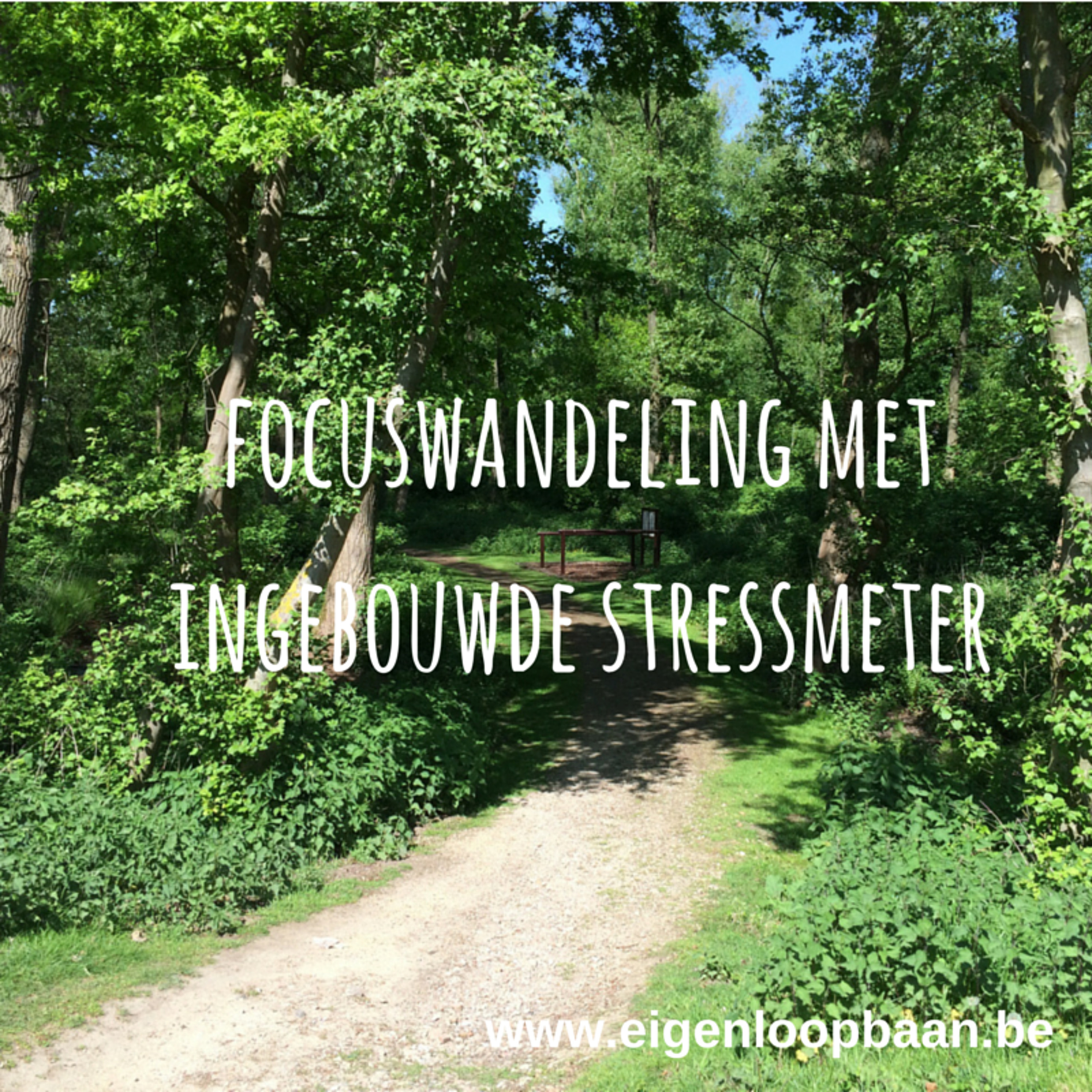 Outdoor loopbaan coaching