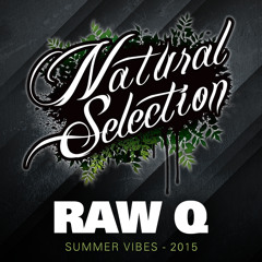 Natural Selection - Raw Q - Summer Vibes 2015
