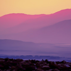 jeremi feisher - you