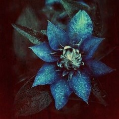DOwWE - La Fleur (ft. Blue Bardot)