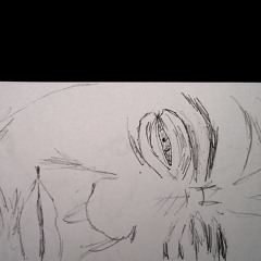 Morning in St Petersburg