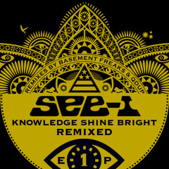 The Boogieman ft. Mr Lif (Basement Freaks Remix)